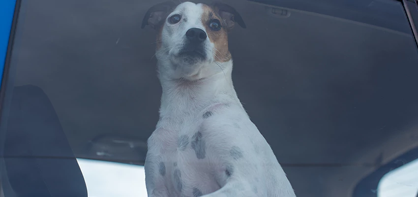 Car Lockout Solutions in Alpine, California